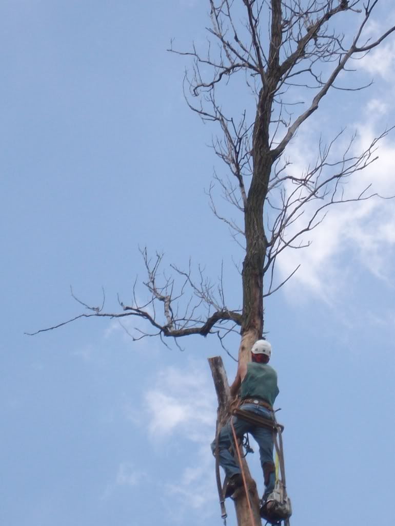 Trapper's Tree Service Columbus Ohio (c) trapperstreeservice concord furnace parts columbus ohio