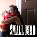 small bird studios