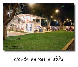 Cicada Market @ ǹ Թ .ШǺբѹ