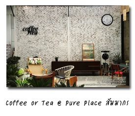 Coffee Or Tea @ Pure Place ҹҡ آԺ 3