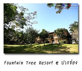 Fountain Tree Resort .ҡͧ .Ҫ