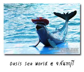 Oasis Sea World @ ѹ