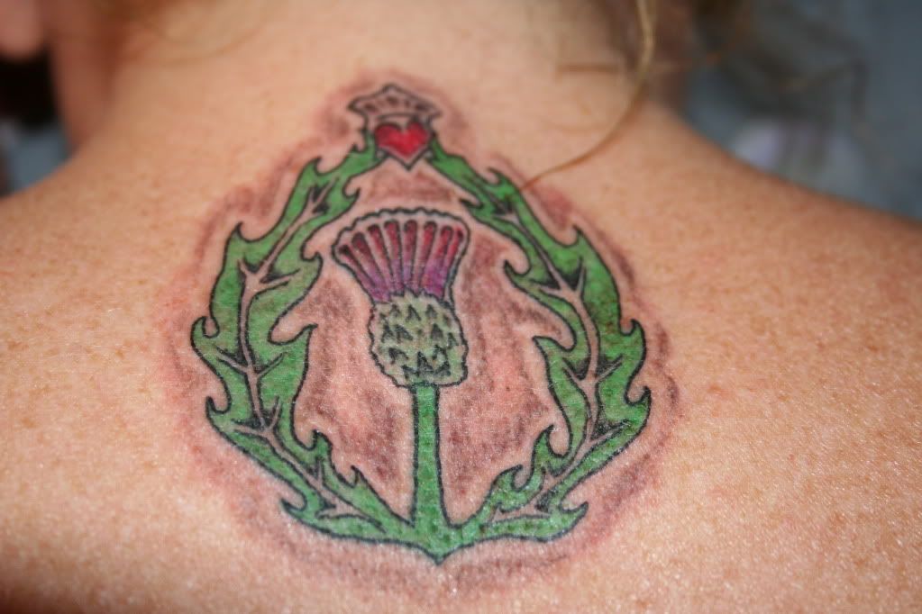 My+Scottish+thistle+tattoo.