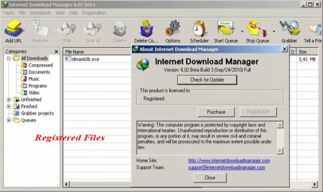 free serial number idm 6.02 beta