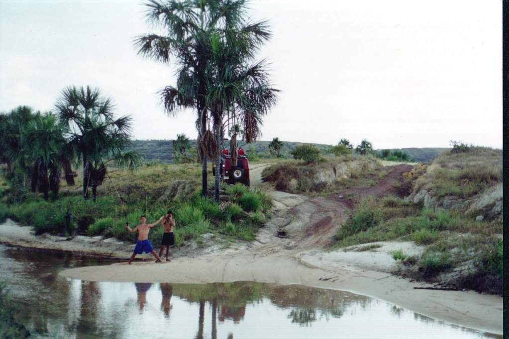 Scan286.jpg