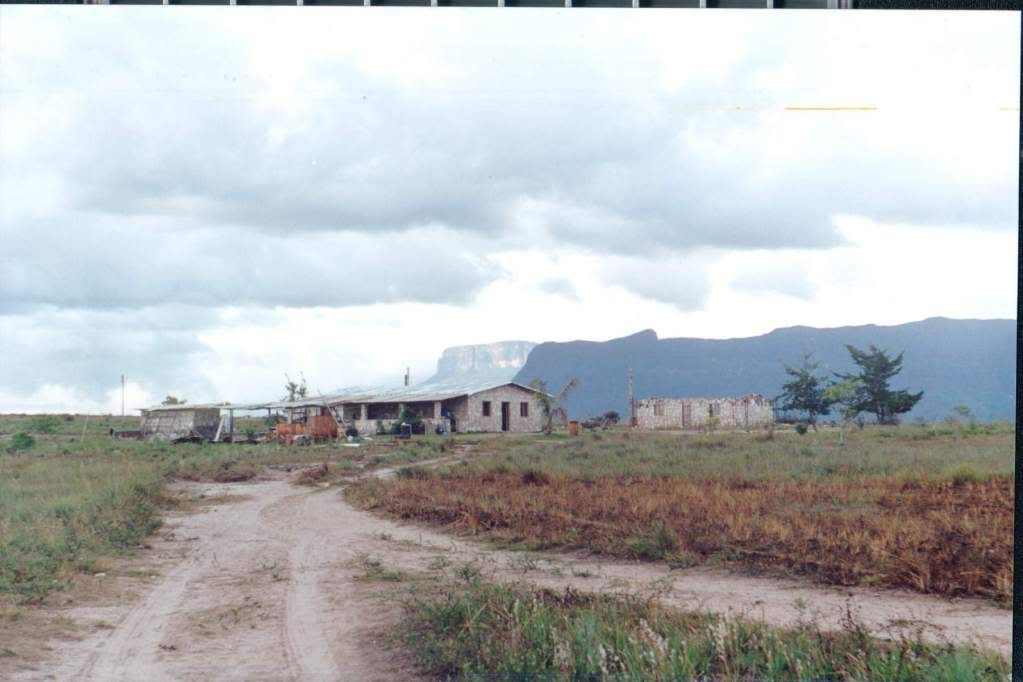 Scan91.jpg