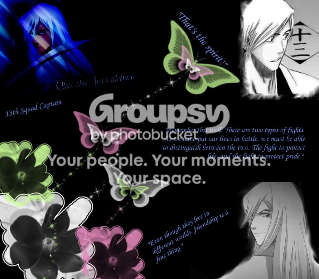 User Image