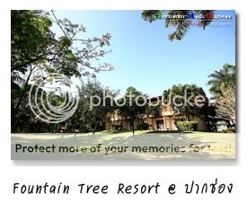 Fountain Tree Resort .ҡͧ .Ҫ