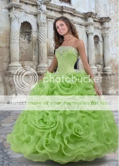   395 satin chiffon taffeta and organza color as picture show or free